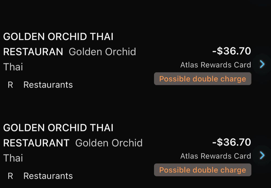 Two transactions flagged as a possible double charge